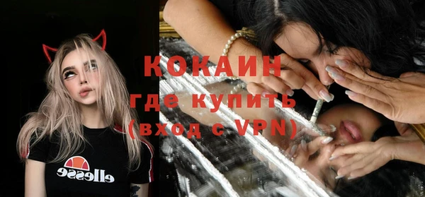 шишки Переславль-Залесский