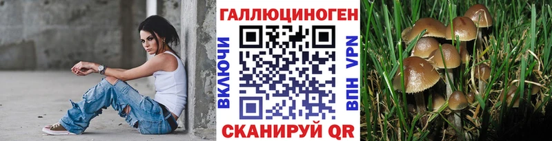 Псилоцибиновые грибы Magic Shrooms  Кыштым 