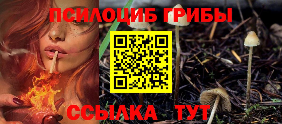 Галлюциногенные грибы мицелий  Галлюциногенные грибы GOLDEN TEACHER  Кыштым 