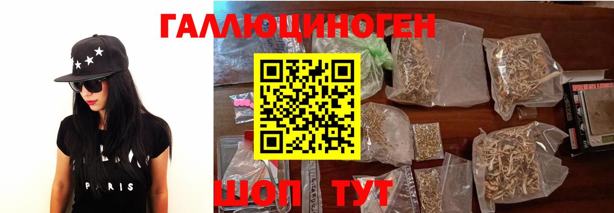 Кыштым  дарнет шоп  Вход с VPN  Псилоцибиновые грибы Psilocybe 